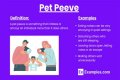 Common Pet Peeves: Everyday Annoyances