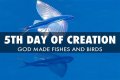 What did God create on the fifth day of creation?